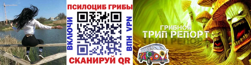 МЕГА зеркало Волхов Псилоцибиновые грибы Psilocybe